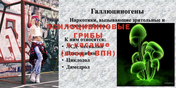spice Каменногорск