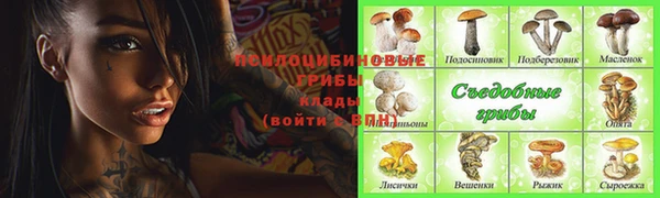 эйфоретик Каменка