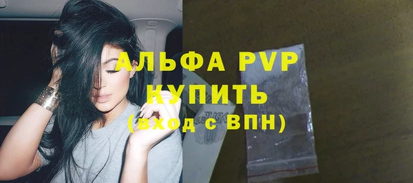 spice Каменногорск