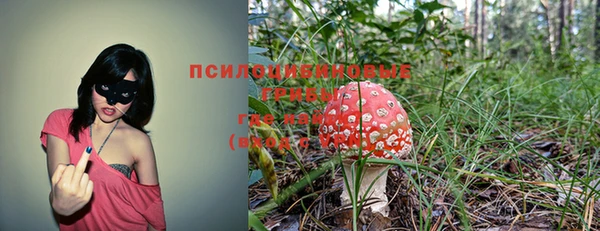 spice Каменногорск