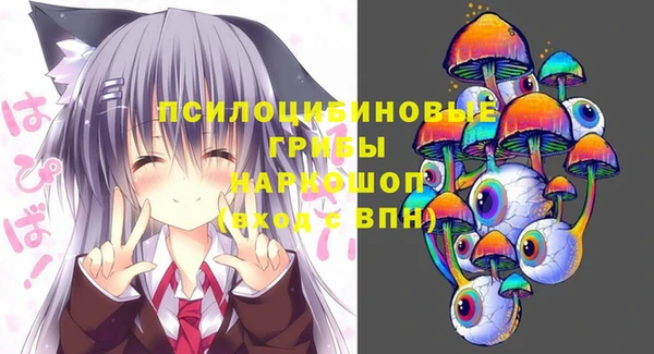 spice Каменногорск