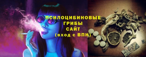 мдпв Каменск-Шахтинский