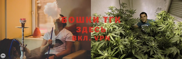 spice Каменногорск