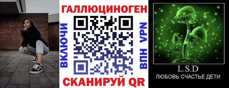Галлюциногенные грибы Psilocybe  Купить закладки  Белово 